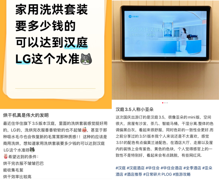 截图来源于小红书