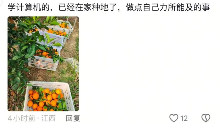 图源：网友评论
