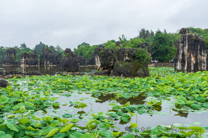 图源 石林风景名胜区