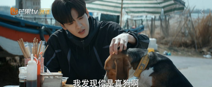 《深情眼》截图
