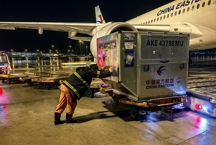 7月30日深夜，东航逐步恢复上海虹桥、浦东两场航班。中国东方航空公司供图