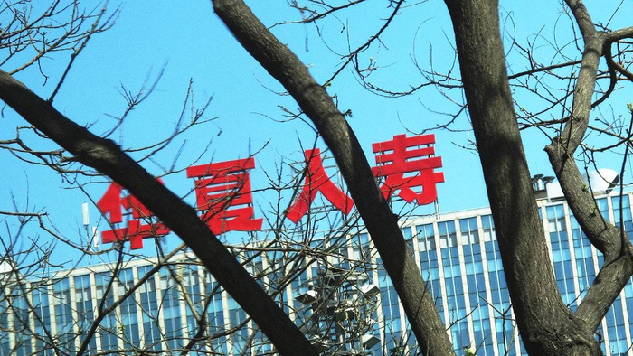 华夏人寿  视觉中国 资料图