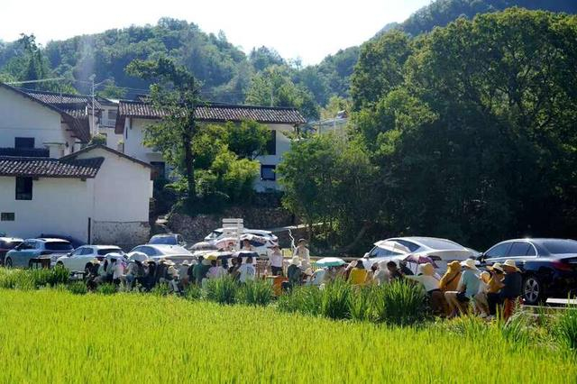 游客在宁陕鱼湾景区避暑纳凉。宁陕融媒中心供图