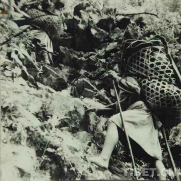 解放前，墨脱群众赤脚徒步地背运物资
