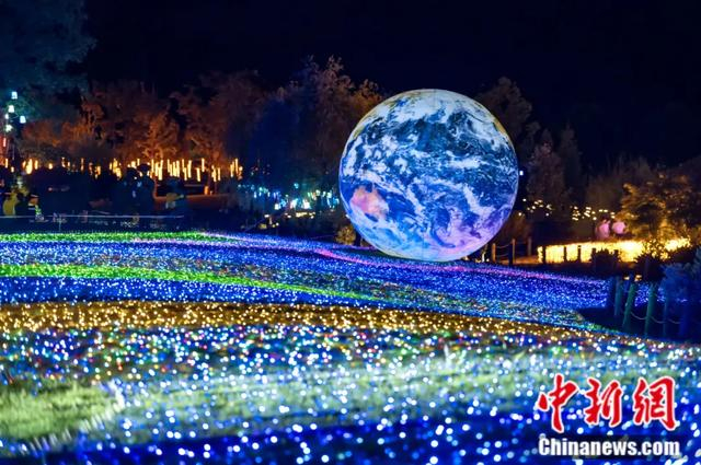 荻浦花海灯光秀。桐庐县委宣传部 供图