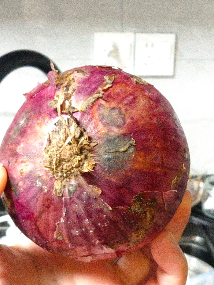 另外,切开后的洋葱放进冰箱,还容易吸收其他食物的味道,使口感变差