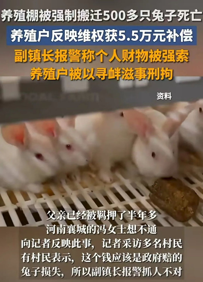 ▲2024年7月，河南许昌襄城县山头店镇一养殖户接到镇政府的限期拆除通知，此后引发了一系列纠纷。图/荆楚网视频截图