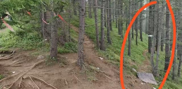 △ 网友发布岔路照片