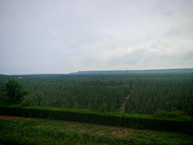 准能集团黑岱沟露天煤矿首采区复垦地貌。澎湃新闻记者 彭艳秋 图