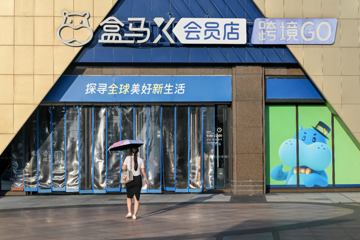 盒马X会员店上海森兰商都店位于上海浦东新区东北部的外高桥地区。