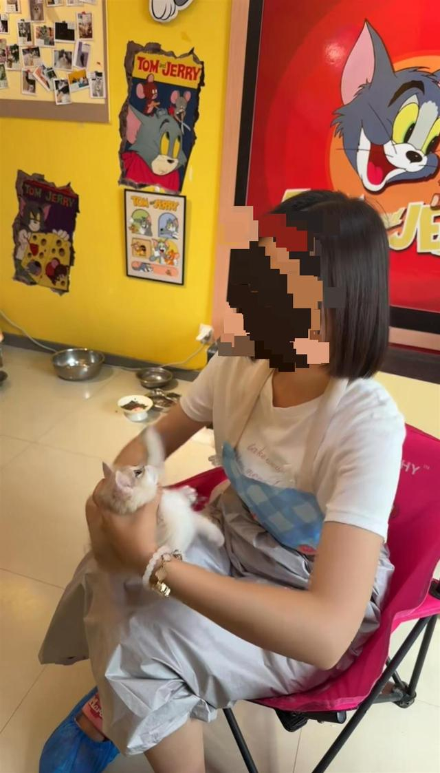 躲猫猫猫咖内疑似虐猫行为（图源：受访者提供）