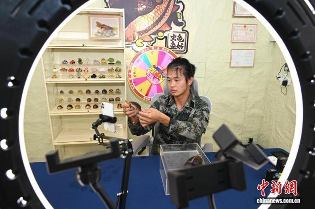 如今，退役军人张一帆坚持每日直播龟类从产卵、孵化到成长的完整生命周期。漳州市退役军人事务局供图