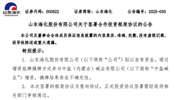 图片来源：深交所网站截图