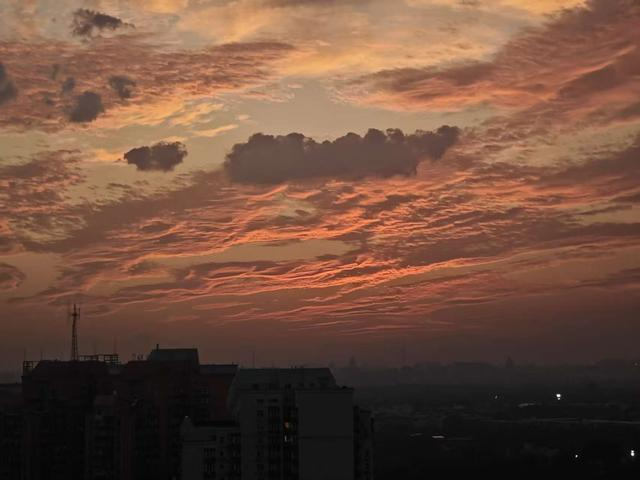 周青 摄