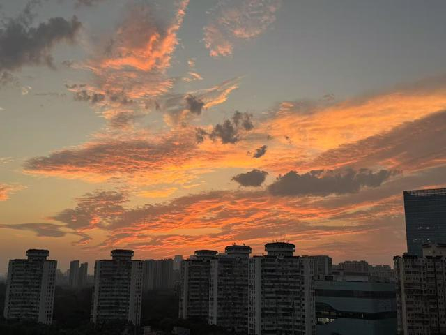 钟瑞 摄