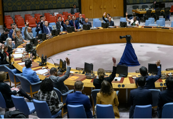 联合国安理会投票
