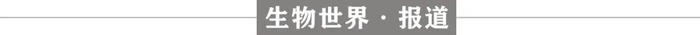 华人学者发表Nature封面论文：AI从头设计水凝胶，在水中也能保持超强粘性（难以置信）发表nature communications，