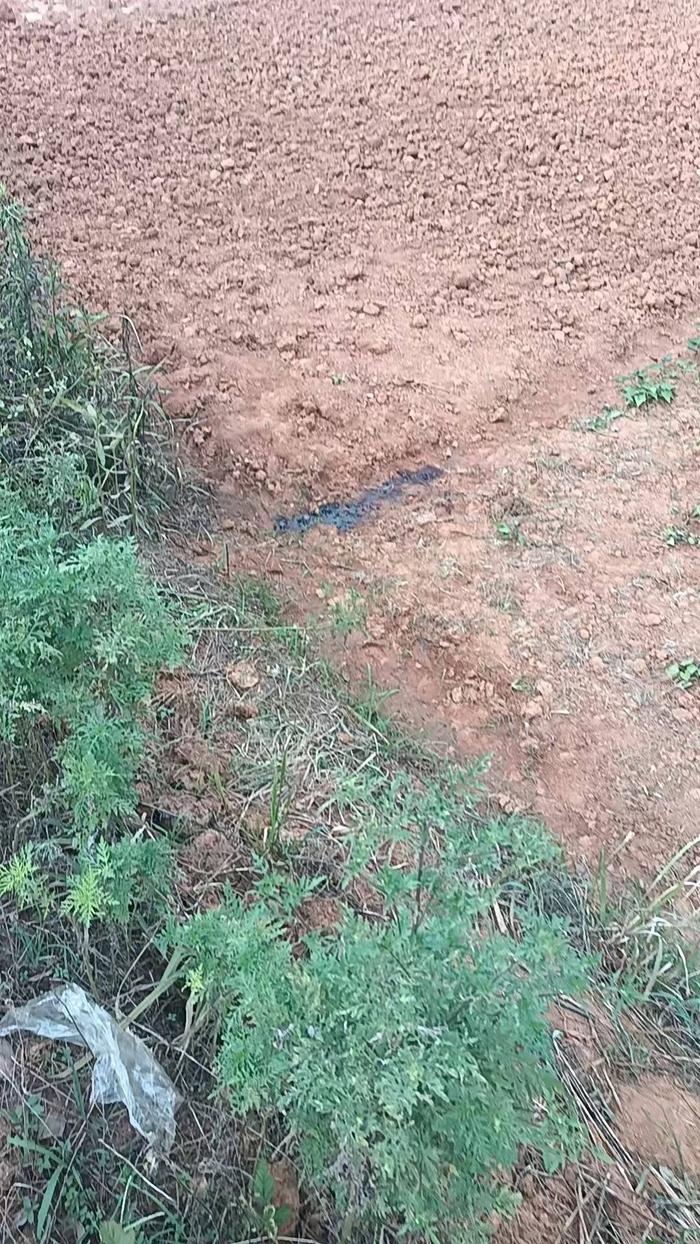 尸体被发现的地方（家属供图）