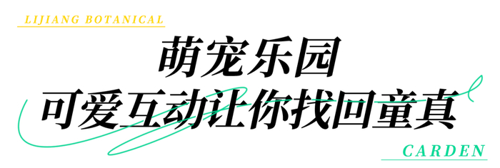 从潮拍基地往里走，便会看到一片柔软的青青草地，这里是萌宠乐园的温柔主场。