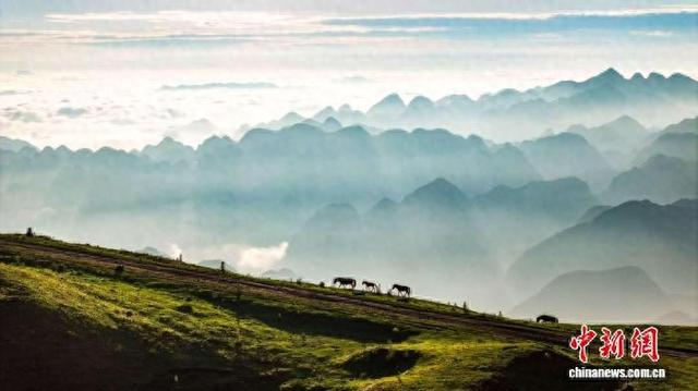 图为贵州省赫章县阿西里西大草原。张荣升 摄