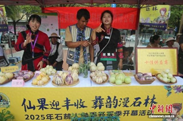 8月9日，展销商介绍不同品种的人参果。黄兴鸿 摄