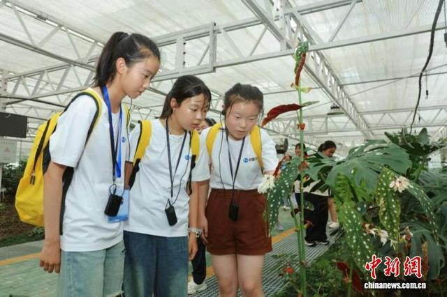 孩子们在长江珍稀植物研究所参观。三峡集团供图