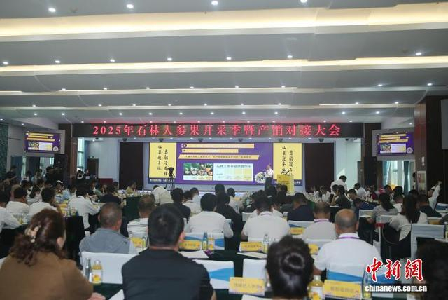 8月9日，人参果产销对接大会现场。黄兴鸿 摄