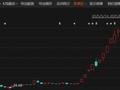 四连板，股价大涨超48%！这个板块突然火了，多股创新高！