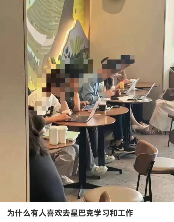 截图自小红书
