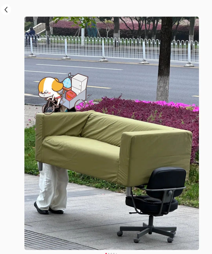 （图/社交媒体平台截图）