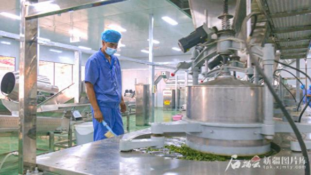 6月29日，工人在尉犁县罗布麻茶蜜有限公司生产车间作业。汪志鹏摄