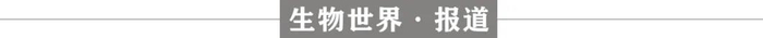 颜宁团队发表最新PNAS论文：助力心脏病及抗癫痫/镇痛药物精准设计（居然可以这样）颜宁发了几篇nature，