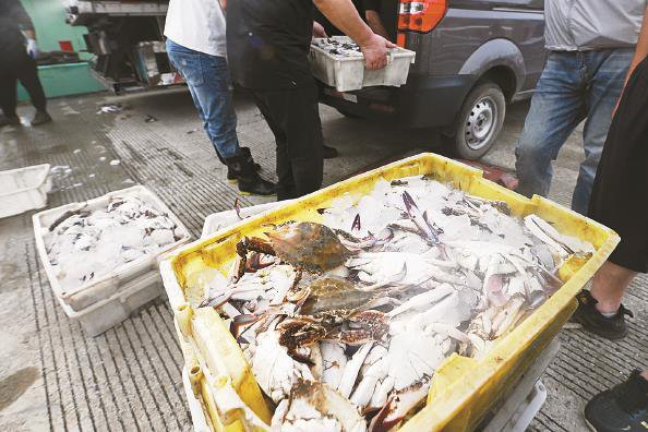             这两天，申城各个批发市场、菜市场里，梭子蟹成为“爆款”  本报记者  徐程  摄          