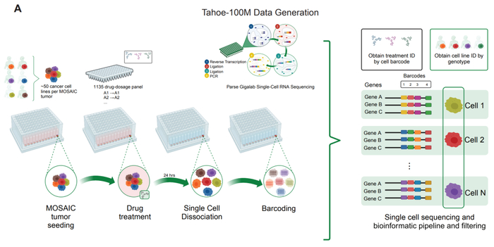（来源：Tahoe-100M 论文）