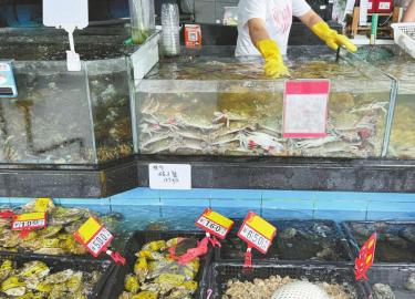 成都某海鲜市场售卖的梭子蟹。