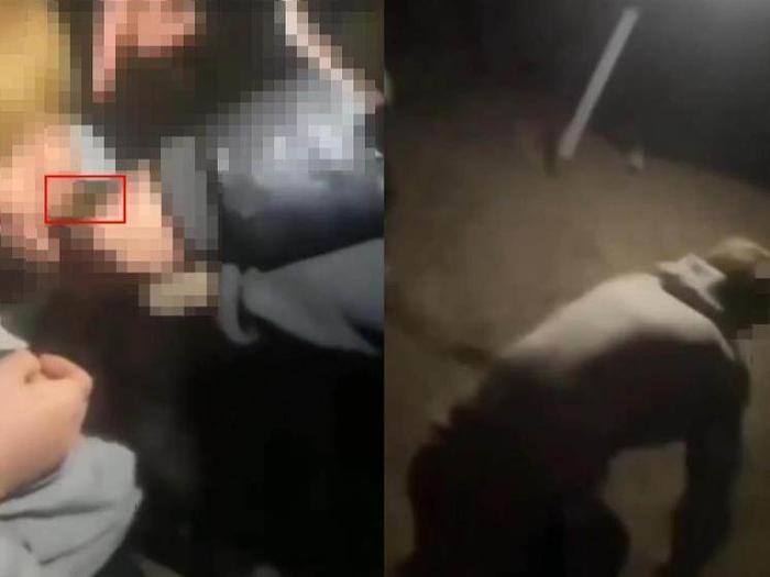 16歲男生被多人欺辱毆打，被逼學(xué)狗叫，警方回應(yīng)