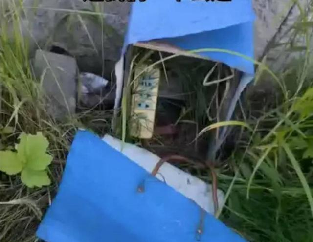 假山现场有接电的插座 受访者供图