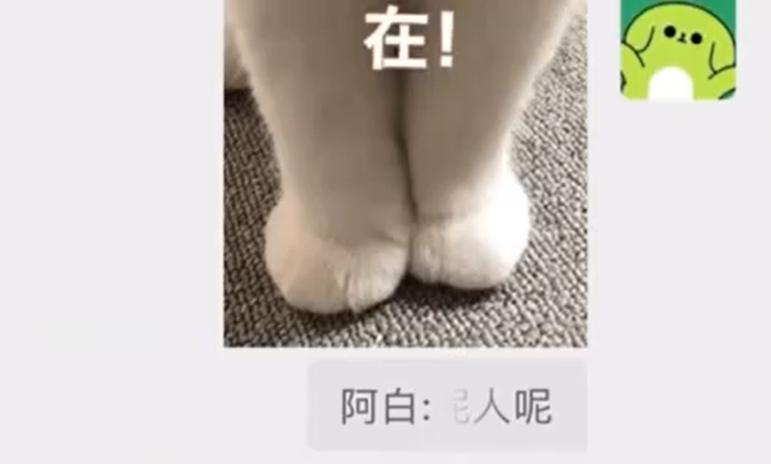 引用部分文字