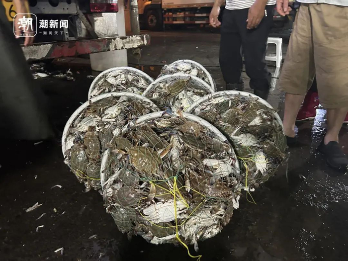 按筐批发销售的蟹，天亮清仓甩卖