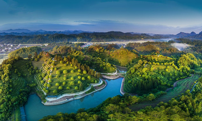 图片来源：黄山市委宣传部