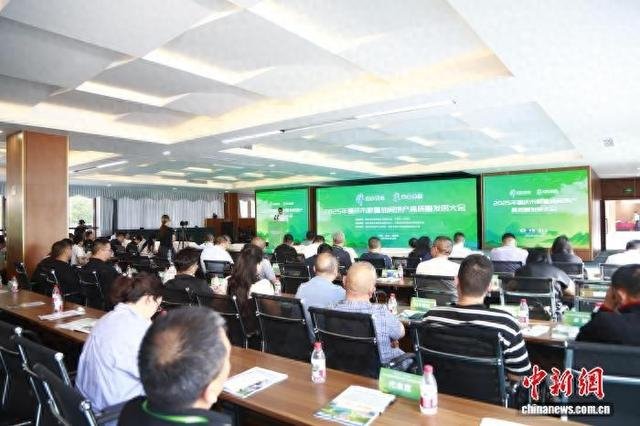 图为8月16日，2025年重庆市避暑休闲地产高质量发展大会在丰都南天湖召开。马佳欣 摄