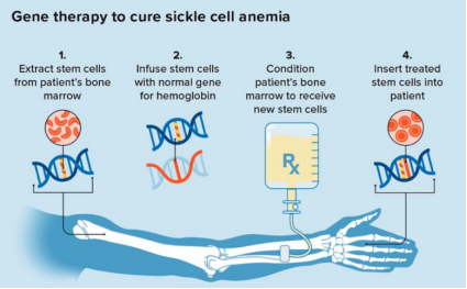 数据来源：公司官网、中康产业研究院