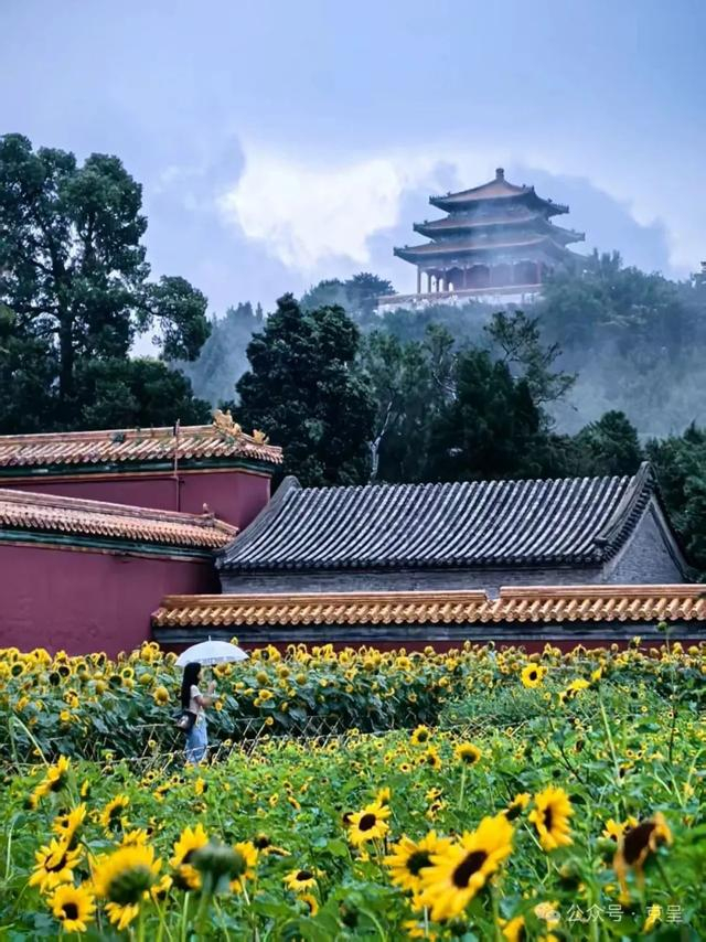 李世勇 摄