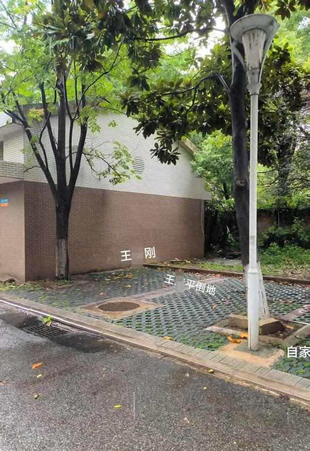 ▲王某平遇害地
