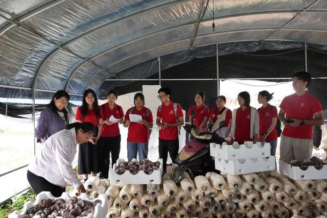 厦门大学化工学院博士团赴宁夏隆德开展科技助农专项行动。图为博士团在当地菌菇大棚中。游惠婷/摄