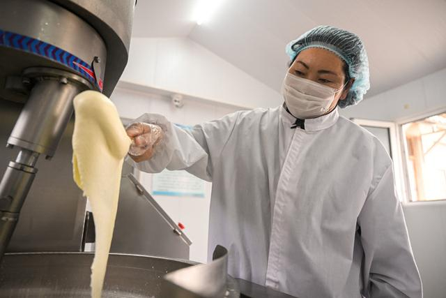 陶高在制作奶制品。新华社记者 连振 摄