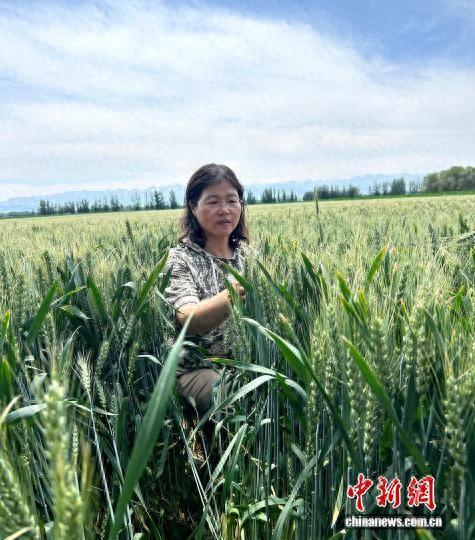 陈爱群在工作中。受访者供图