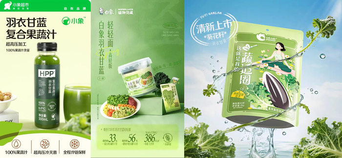 羽衣甘蓝的其他应用 图源：网络