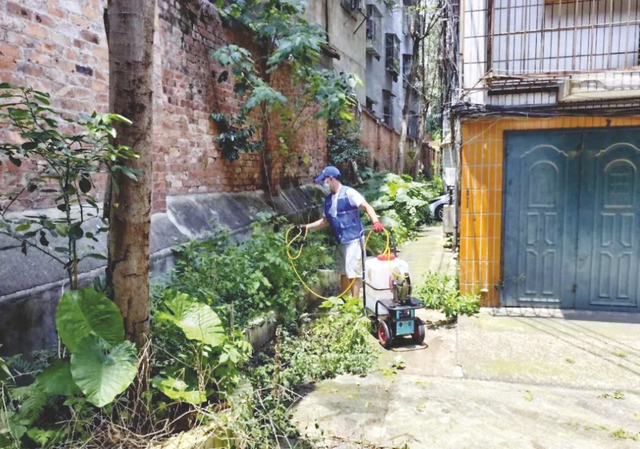 专业消杀队使用低毒高效药剂对衡阳街道辖区的成蚊栖息点位实施精准喷洒。 （衡阳街道办事处供图）