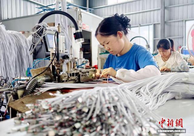 图为工人们在生产数据线。谭凯兴 摄